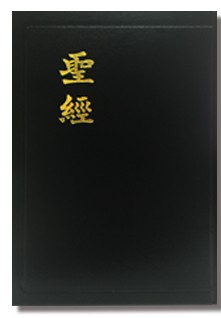 Chinese Union w/ New Punctuation Bible (Shangti Edition)