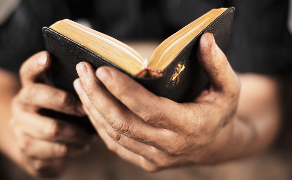 Rising Needs for Bibles