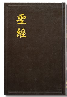 和合本大字聖經（神版）