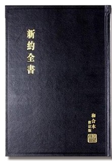 和合本2010 大字新約全書聖經（神版）