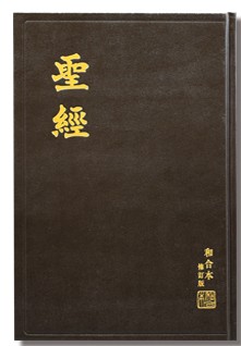 和合本2010 大字聖經（上帝版）