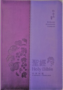 和合本2010 / 英文標準版紫色拉鍊聖經