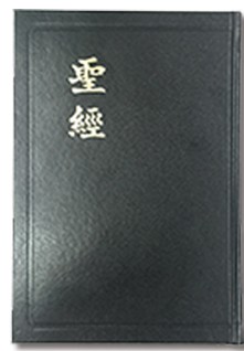 Chinese Union Bible (Shen Edition)