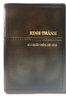 Vietnamese Bible